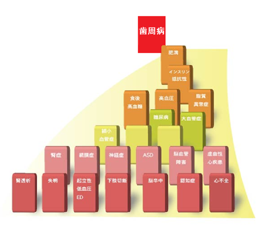 歯周病の怖さと、日常でできるセルフケア
